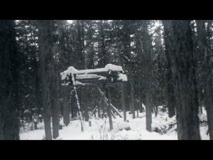 Перевал Дятлова. Версия ритуального убийства как она есть. Часть 1. Мотивы.