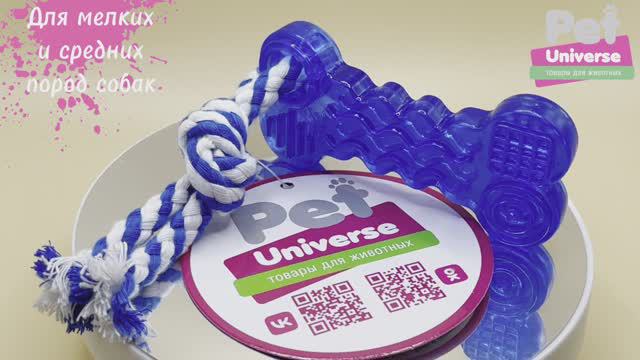 PU3006BE Игрушка для собак Pet Universe Мини косточка с канатиком, размер 18*4.3 см смотреть онлайн