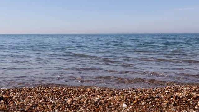 РАЗЫСКИВАЕТСЯ ОЛЬГА БРУКМАН, ОНА ЖЕ БРЕНДОВНА, ОНА ЖЕ ШМОТКИНА. КУДА СМОТРИТ НАЛОГОВАЯ И ЮТУБ? смотреть онлайн