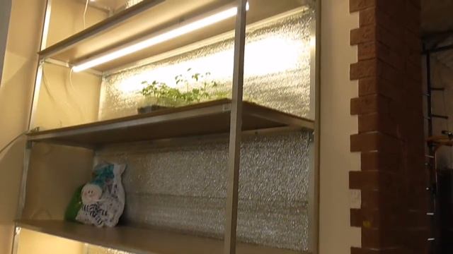 КАК СДЕЛАТЬ ДЕШЕВЫЙ СТЕЛЛАЖ ДЛЯ РАССАДЫ смотреть онлайн