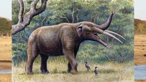 Эволюция слонов