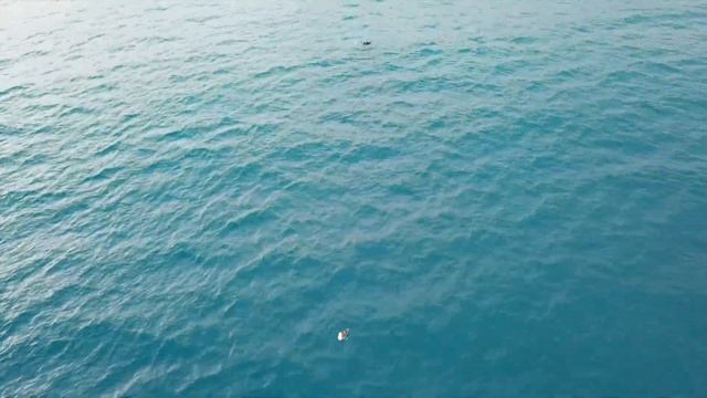 Мидиийная ферма Биссус смотреть онлайн