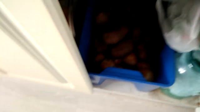 Обзор продуктов