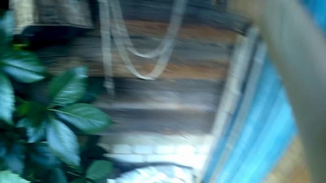 Обживаем дом в деревне//планы//сушим травы