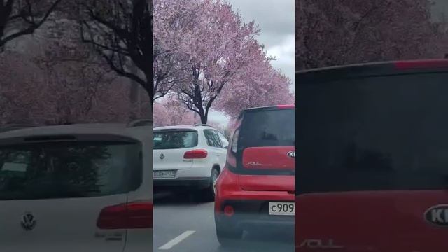 дорога в Сочи! Серпантин!