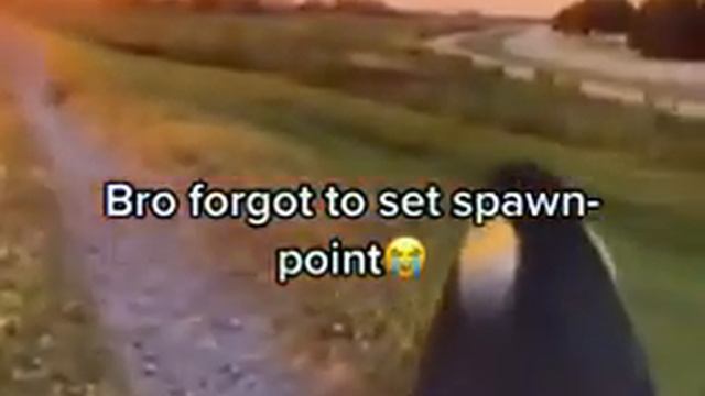 bro forgot to set spawn point смотреть онлайн