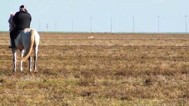 ЗАЯЦ В ЛЕЖКЕ Лучшие моменты Всероссийских состязаний 2013г часть4 смотреть онлайн