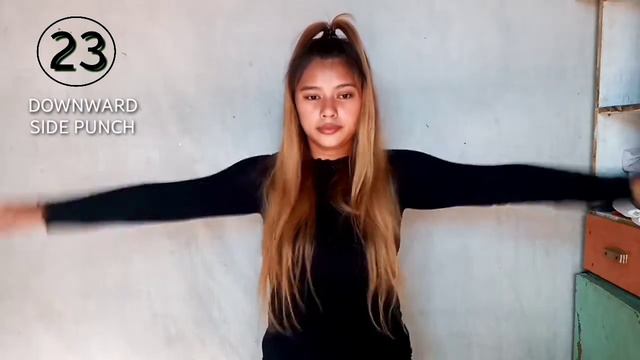 5mins Arm Workout| I Tried Chloe Ting And Gabriella Whited  Arm Workout | No Equipment