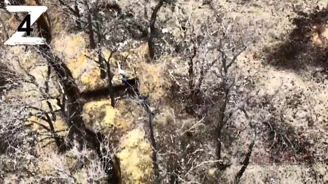 Легендарный штурм опорного пункта "расческа" разведывательным взводом 1-го батальона 4-й бригады ЛНР смотреть онлайн