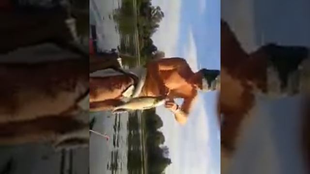 Лещ на кольцо смотреть онлайн