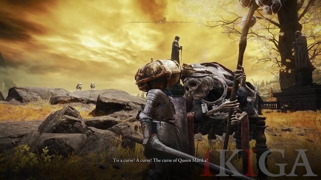 ELDEN RING - ALL FINGER READER CRONES DIALOGUE QUOTE WHEN SHOW HAND смотреть онлайн
