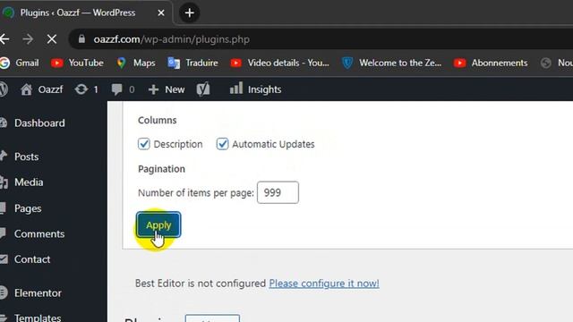 How To Show Automatic Updates Column in WordPress Plugin Area смотреть онлайн