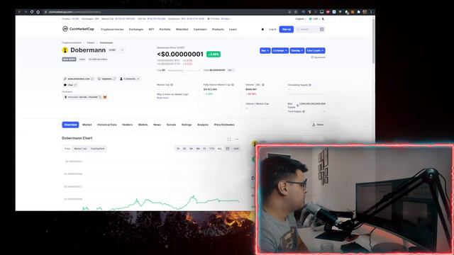 Dobermann Token DOBE Crypto ✅ How to Buy Dobermann Crypto DOBE Token on Pancakeswap смотреть онлайн