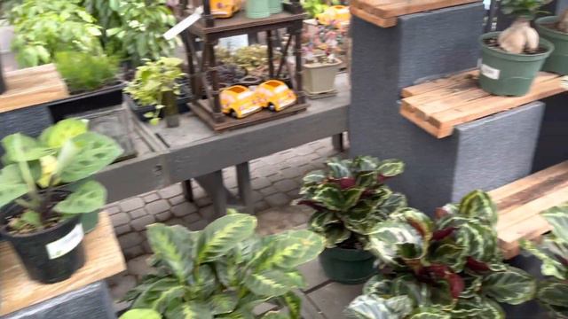 Plant Shopping At McDonald Garden Center! Plant Shop Tour And Haul | Let’s Go Plant Shopping!