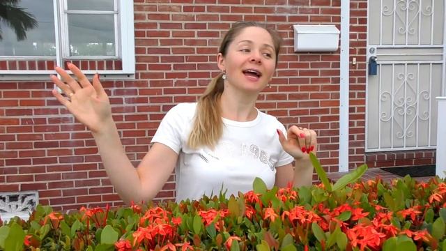 Hello Hello song for kids by Diana смотреть онлайн