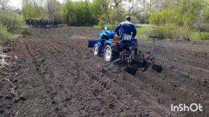 посадка картофелья под минитрактор