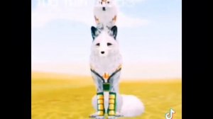 WildCraft Tik-Tok  часть 2)🔥👏♥️🌵🦋