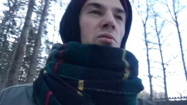 КАК НА ТЕБЯ ВЛИЯЕТ ТВОЕ ОКРУЖЕНИЕ И ПРИЧЕМ ТУТ ЛЕС? смотреть онлайн