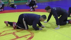 ПРИЁМЫ В ПАРТЕРЕ. Вольная борьба.