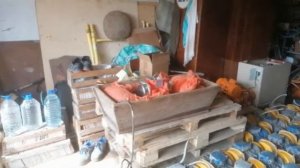 Какой площадочный вибратор лучше?