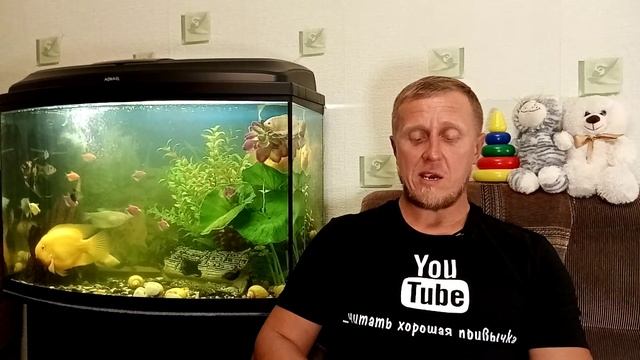 А. Волков Урфин Джюс и его деревянные солдаты 18 смотреть онлайн