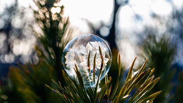 экспериментальная площадка хрупкое произведение искусства смотреть онлайн