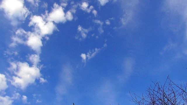 Любителям высоколетных голубей смотреть до конца смотреть онлайн