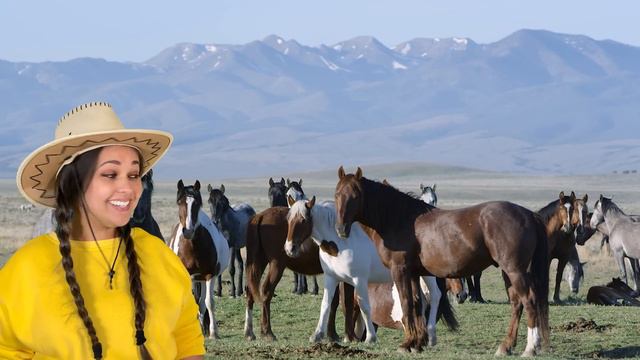 Learn Farm Animals With Ms Moni | Old MacDonald Had A Farm, 5 Little Ducks | Toddler Learning Video смотреть онлайн