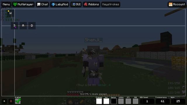 LabyMod 1.16.5 Review (LabyMod Minecraft Version 3.9) FPS BOOST PVP CLIENT