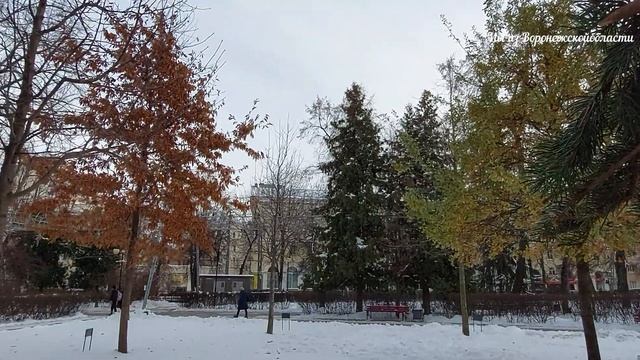 Кольцовский сквер Воронеж. 23 ноября 2023г смотреть онлайн