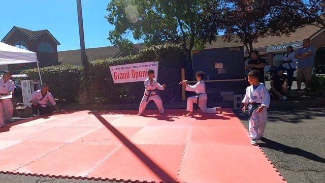 Vue's Black Belt Center Grand Opening-Taekwondo Demo |TDK Demo смотреть онлайн