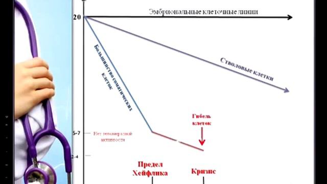 ХСН и короткие теломеры закономерность или случайность смотреть онлайн