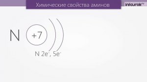 Амины - органические основания