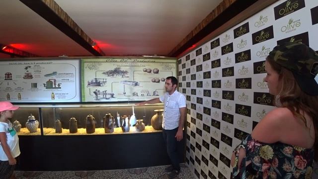 Как правильно выбрать оливковое масло. Музей производства оливкового масла. Манавгат Турция смотреть онлайн