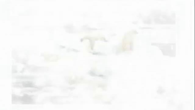 Поеду на Северный полюс смотреть онлайн