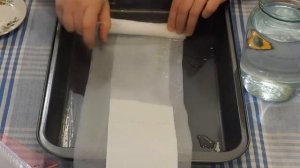 Способы проращивания семян перца на рассаду