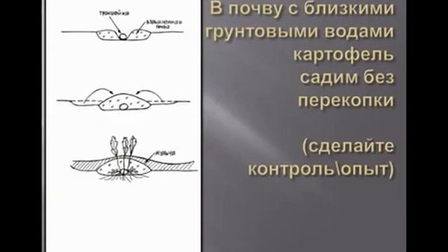 Выращивание картофеля смотреть онлайн