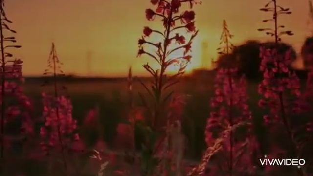 Reflexión | DECISIONES | Salmos 25:4-5 смотреть онлайн