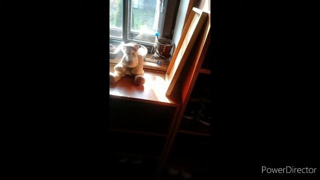 Учебник по Креативу