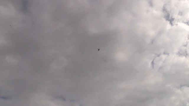 Полет СВГ 8.03.2021 г смотреть онлайн