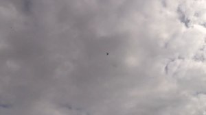 Полет СВГ 8.03.2021 г