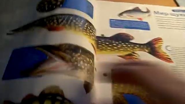 коллекция Рыбалка энциклопедия рыболова №1 обзор смотреть онлайн