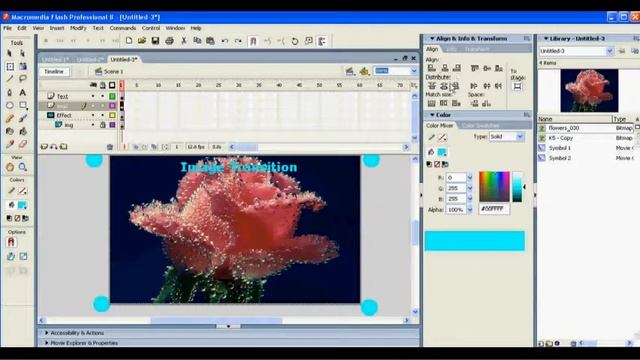 Create Slideshow in Flash 8 смотреть онлайн