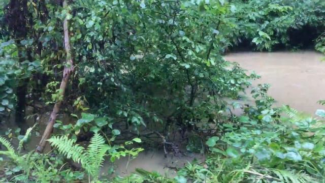 Тайфун Кроса и не был на даче месяц смотреть онлайн