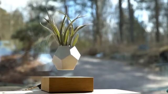 Необычно парящий цветочный горшок смотреть онлайн