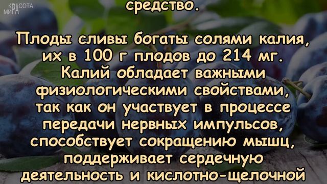 СЛИВЫ. КАКАЯ ПОЛЬЗА ДЛЯ ЗДОРОВЬЯ? смотреть онлайн