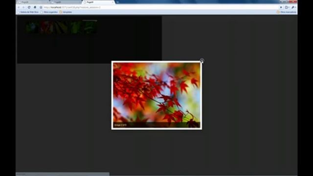 Delphi for PHP slideshow component смотреть онлайн