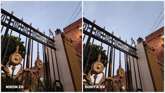 Nikon Z8 VS Sony A7IV | Night Mode Camera Test смотреть онлайн