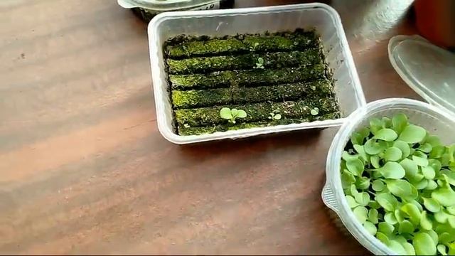 22/19 Не повторяйте моих ошибок!!! смотреть онлайн