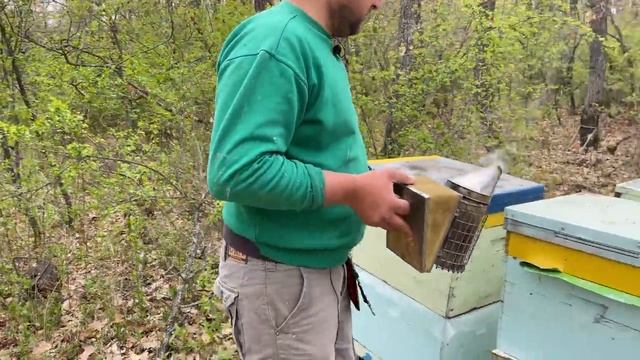 Как развиваются семьи на дадановской рамке…. смотреть онлайн